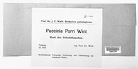 Puccinia porri image